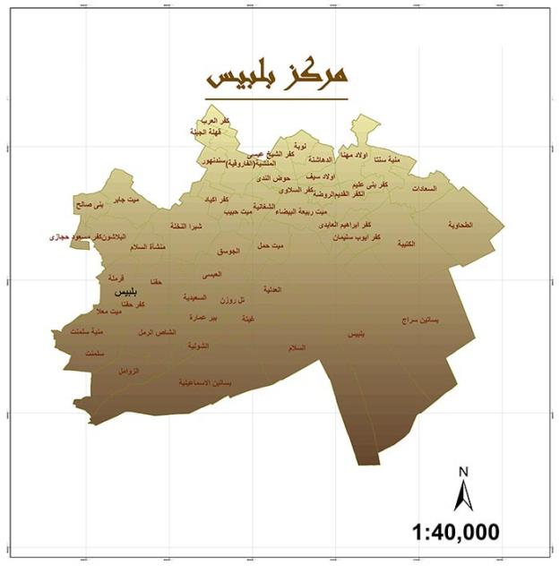 صورة